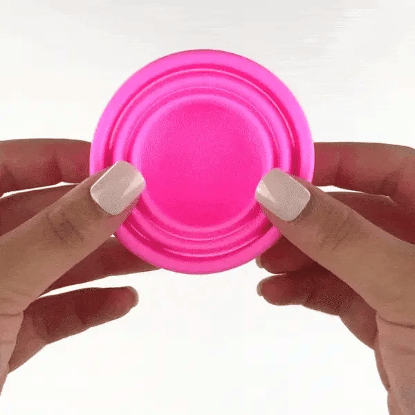 Boîte de Stérilisation Pliable Welly