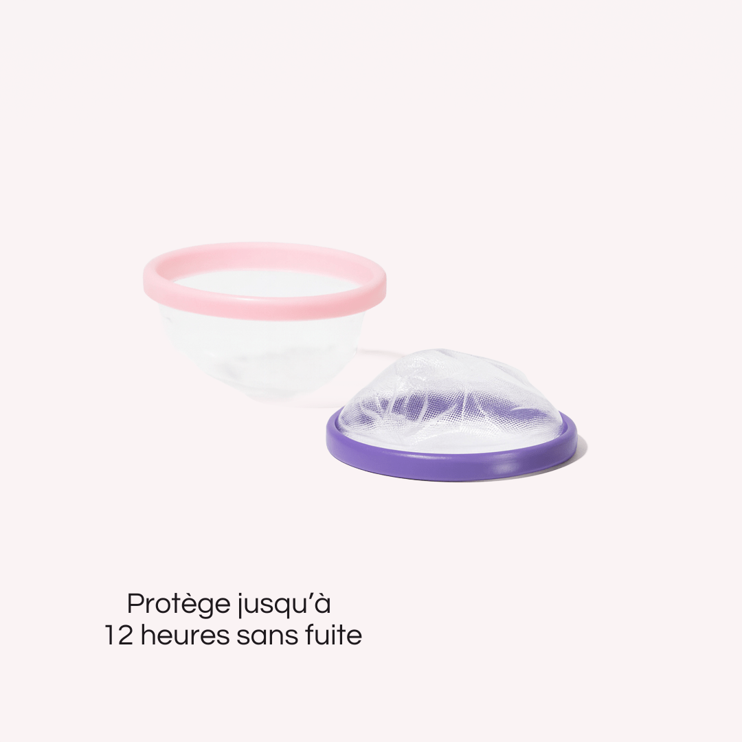 Disques Jetables - Pack de 5 - Welly