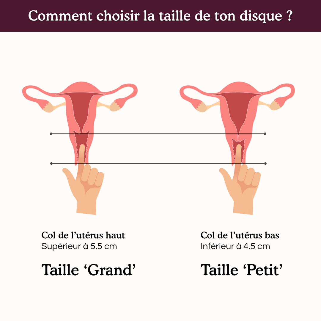 Duo Disques Réutilisables Welly - Welly