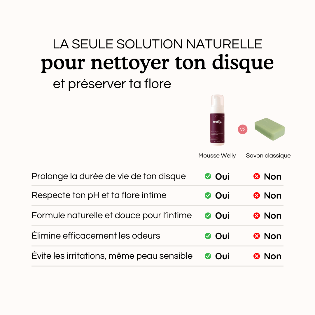 Mousse Nettoyante pour Disque Welly - Welly