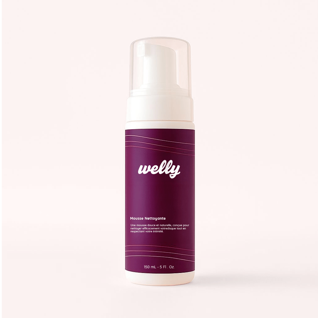 Mousse Nettoyante pour Disque Welly - Welly